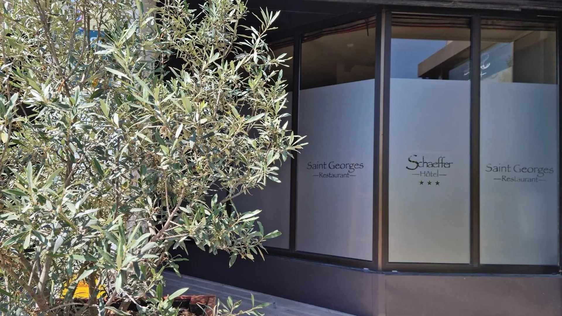 Logis Hotel Schaeffer- Restaurant Le Saint Georges Serrières-en-Chautagne